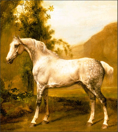 George Stubbs